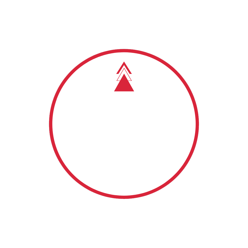 The northern way logo